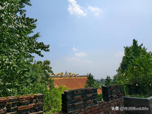 成都徒步（68）·彭州篇⑮佛山古寺&镇国寺宝塔