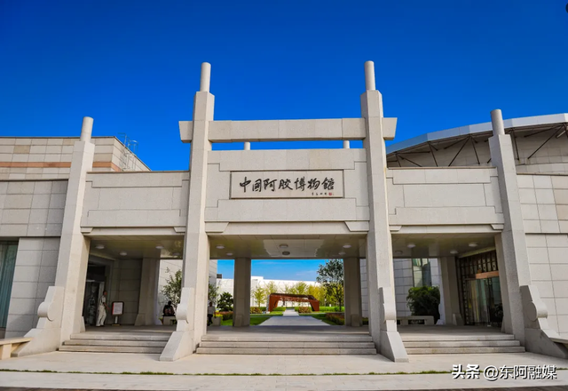 60岁以上老人免费！重阳节东阿这个景区邀你登高祈福