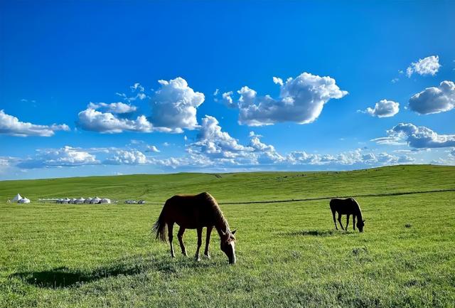 金色沙海藏粉色秘境！内蒙古这片土地，藏着哪些不为人知的秘密？