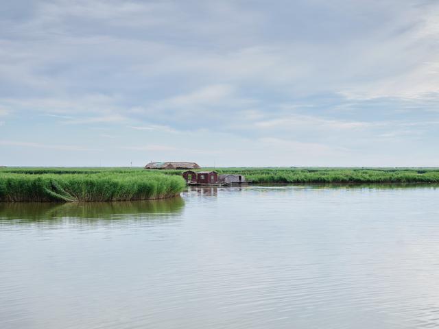 锦州东方华城湿地公园，环境优美，水鸟争鸣，是休闲散心的好去处