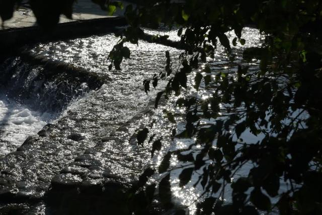 暖冬限定！赴一场“去班味”的阳光慢旅