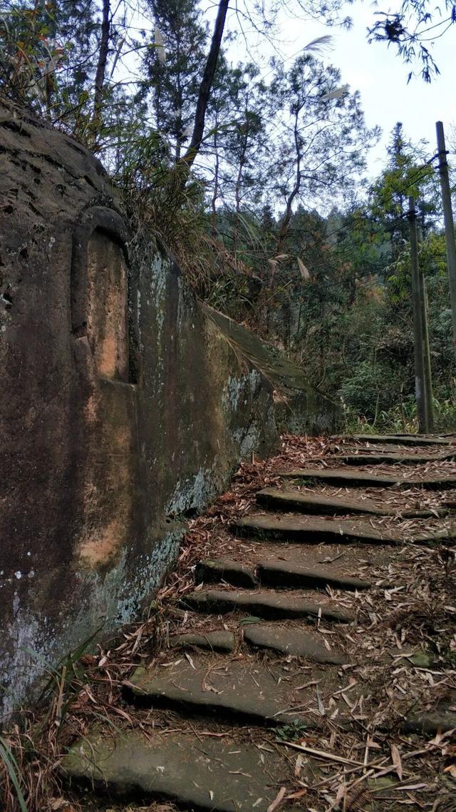 重庆荒效野岭发现大量石碑，碑身高大雕工精美，每块都有百年历史