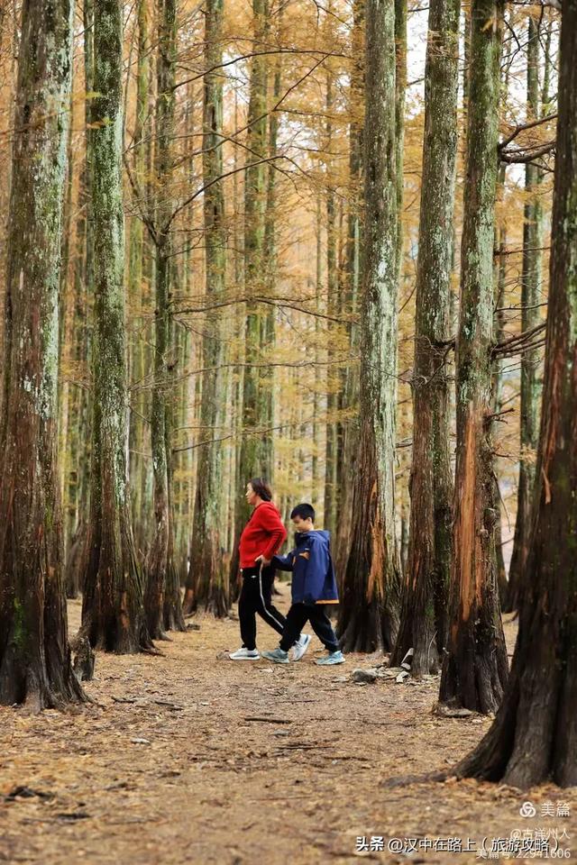 龙池秋色惹人醉