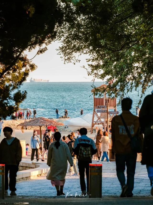 6处入选！市南绝美表白地，是一眼沦陷的程度！