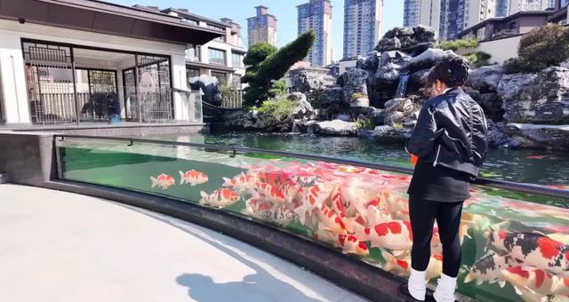 玄武湖惊现"超级大鱼缸",8米玻璃直通湖底,专利技术惊艳全国