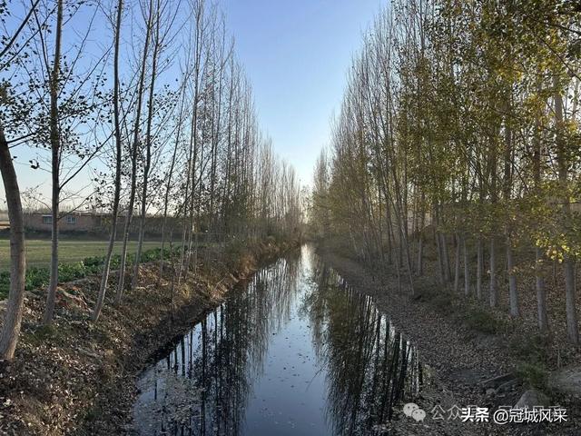 冠县乡韵·贾镇荆楼村