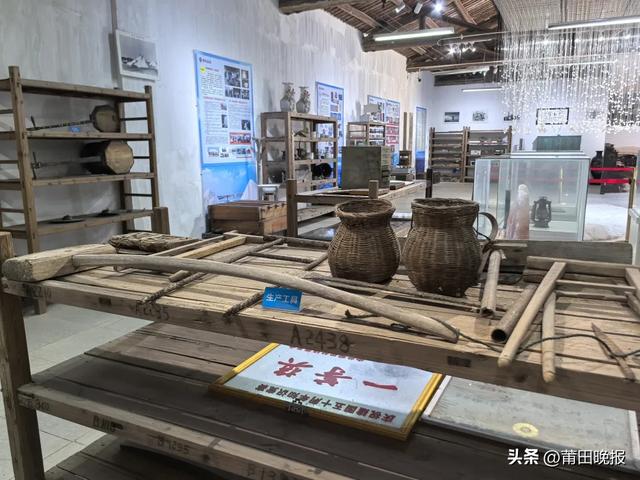 晚报记者带你探寻千年盐场的生态密码