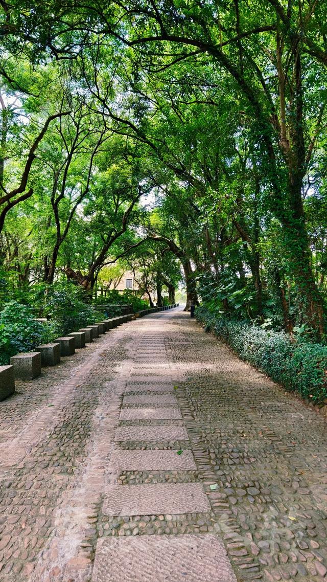 皖浙摩旅二人转——桐庐荻浦村篇