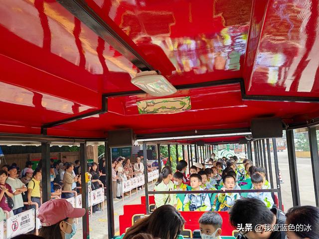 参观广州长隆野生动物园，全程感觉眼累手累腿不累