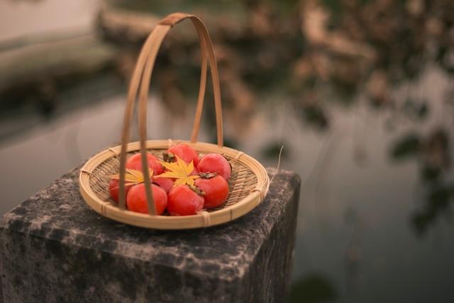 这才是江南秋天的天花板！浙江5大红叶秘境，带你走进古典水彩画