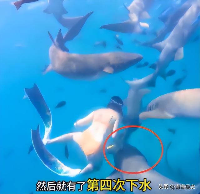 生理期潜水被鲨鱼咬伤后续：女子露面透细节，仍在感染中，已就医