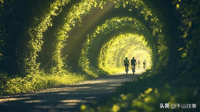 骑行二十载：从“280公里山路卷王”到“日均20公里养生党”