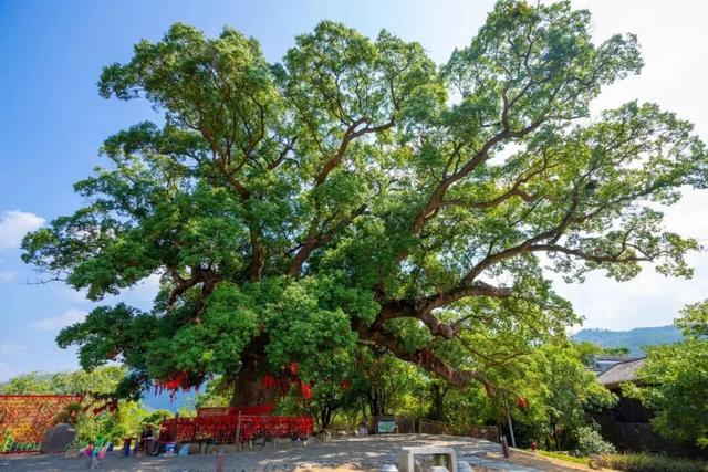 国家级名单公布！南昌一地上榜