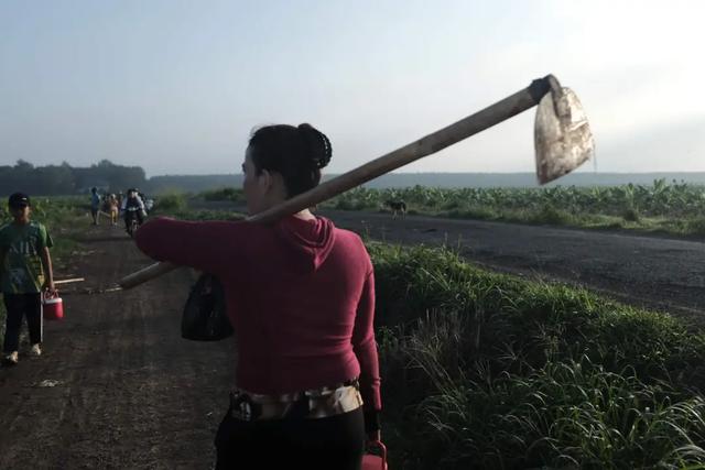 你说,你去越南做什么?