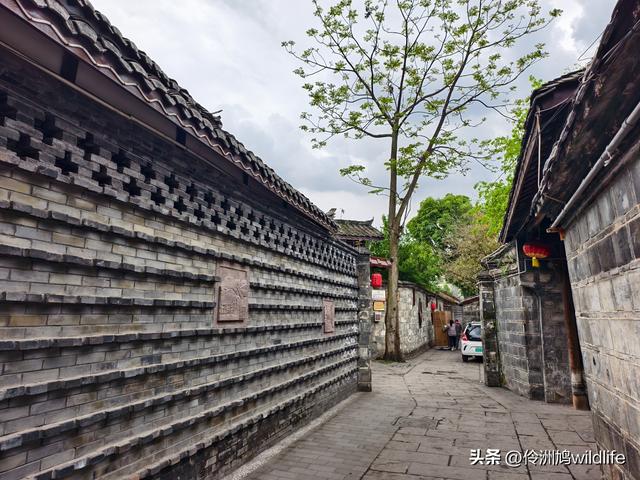 成都古镇（15）郫县唐昌古镇崇宁公园·大椿巷