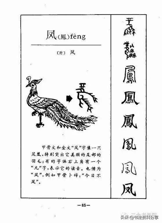 中国人必知的500个常用字起源（上）