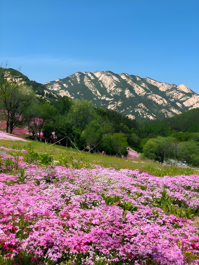 山东被低估的仙山，山峦叠嶂，溪流蜿蜒，被誉为 “江北小九寨”