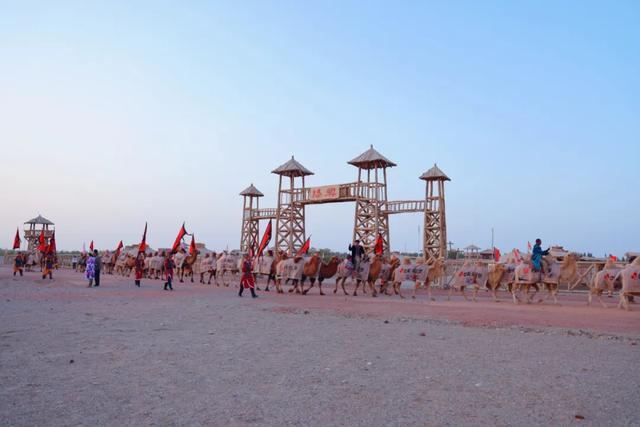 穿越古老的阳关古道,“东天山来的骆驼队”如今走到哪儿了?