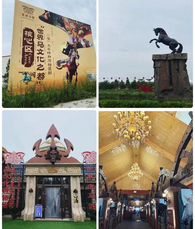 已确认：只剩6天了！呼市人抓紧抓紧！