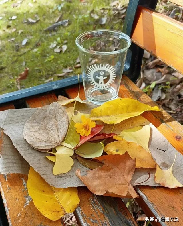 🤏捡捡捡，淄博惊现“捡秋”大神！海岱楼、周村大街…全被捡出来了→