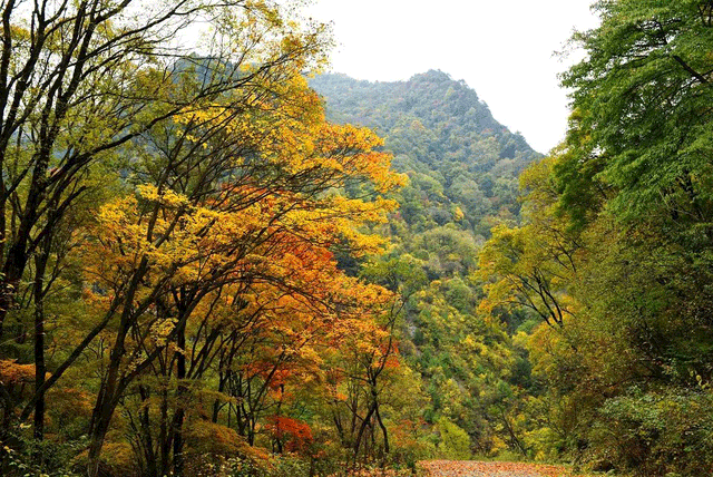 警告！深秋的徽县，千万别出门！因为……