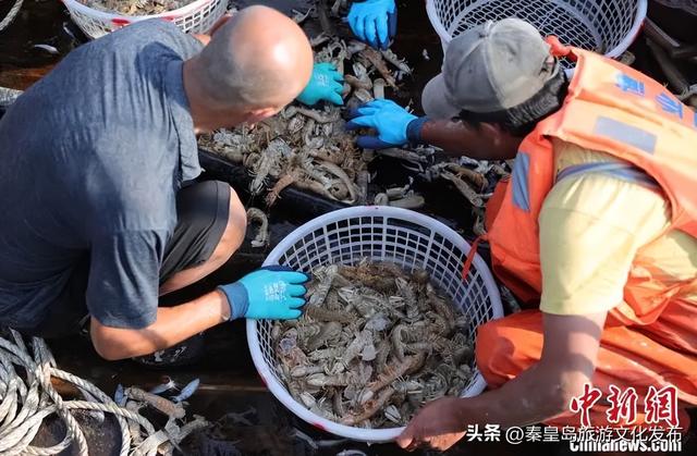 秦皇岛秋冬季精品旅游线路③“寻味港城，品味烟火人间”