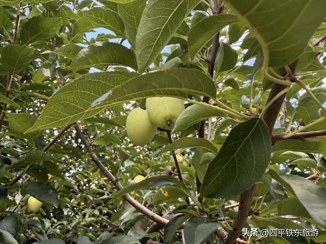 乡土印象：藏在炊烟里的民宿故事