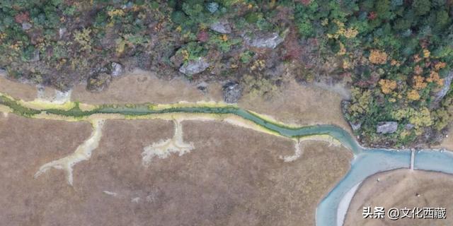 秋天不去西藏玉许乡，真的会遗憾一整年！3日沉浸式漫游指南送你！