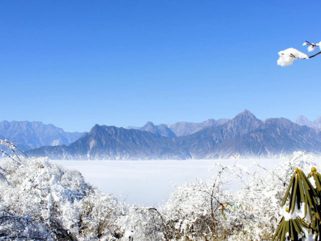 成都的初雪已上线！快来赴一场冬日浪漫之约