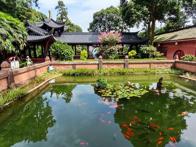 四川旅游：三到两佛山曲折纪行（图）