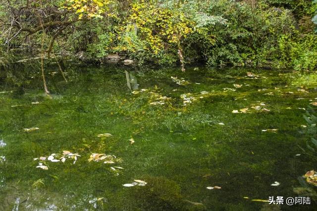 丽江的最美秋色九鼎龙潭,但位置隐秘,大部分游客都视而不见