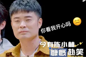 关晓彤指认陈赫，筋膜枪大战甲状腺！《盒子里的猫》笑点拉满！图片