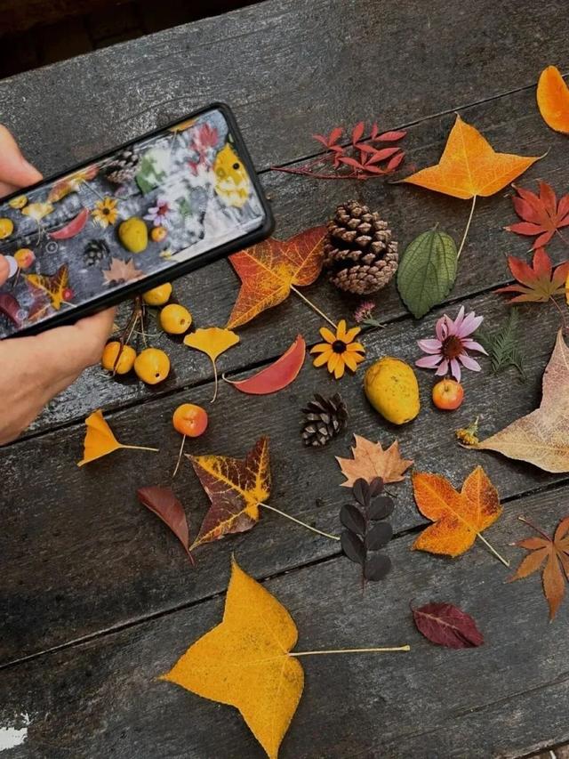 来淄博“捡秋”！海岱楼、周村大街…全被捡出来了→