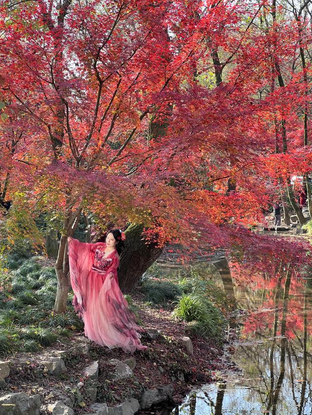 杭州红叶季：桂花之后百花杀，旖旎红叶胜百花。