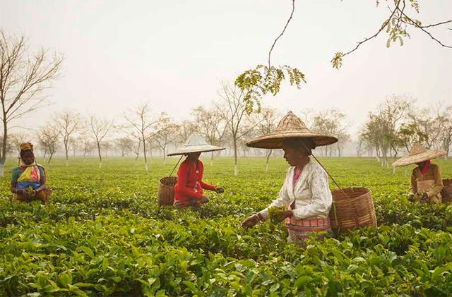 走进印度东北，这儿人长得像中国人，喜欢中国不喜欢印度