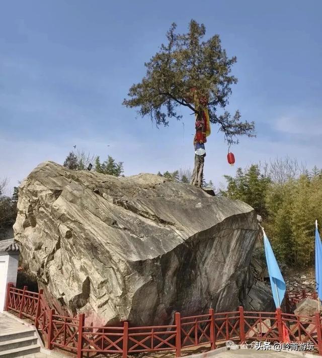 西安出发1.5小时,渭南北拾村上千只白天鹅在等你,内附详细攻略