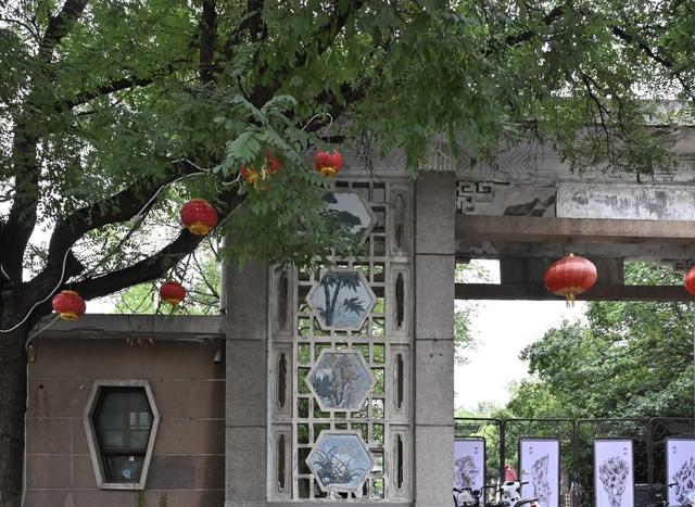 我是广东人，刚从山东青州回来，憋了7个疑问和感受不吐不快。