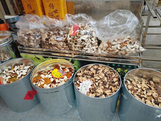 2026温暖广东之旅：漫游珠海、新会、江门