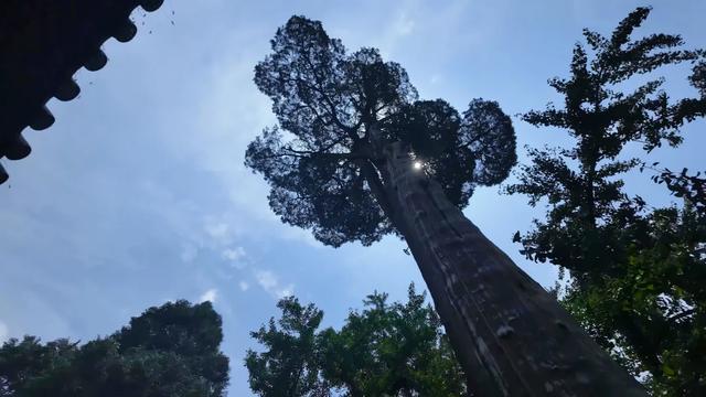 寻宝晋城 | 晋魏河山第一寺，走进山中古刹青莲寺