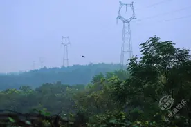 湖北赤壁：秋分时节气渐凉 清风送爽果实香图片