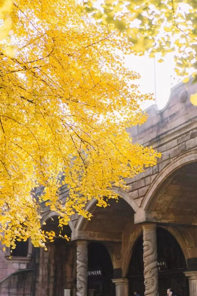 德阳，从古蜀之源走来