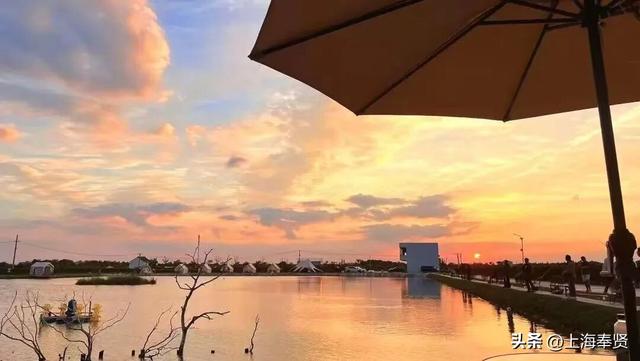 在庄行渔沥，抛一竿清风，钓满眼诗意