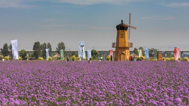 周末游河北 京西怀安县：围棋之乡品三宝，湿地古寺享清凉。请收藏