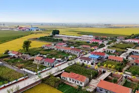 2023年吉林省最美农村公路|美不胜收的“绿色长廊”图片