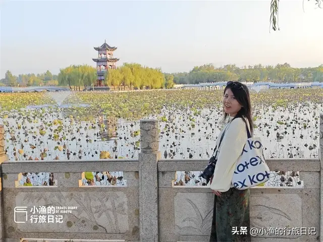 周末去哪玩？访古、赏红叶、咥美食！西安周边这个宝藏县城太好玩