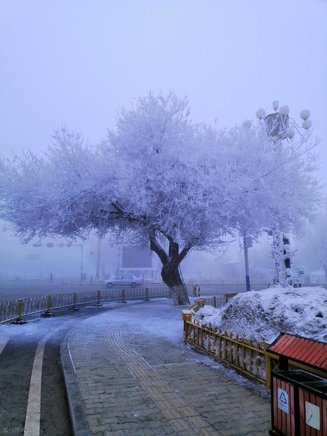 千万别错过！东北的冬天不只有雪乡，这座小城的雾凇，中国之最！