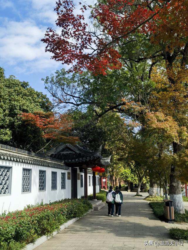 镇江三山一渡中，焦山是我的盘中菜，历史文化底蕴更为深厚