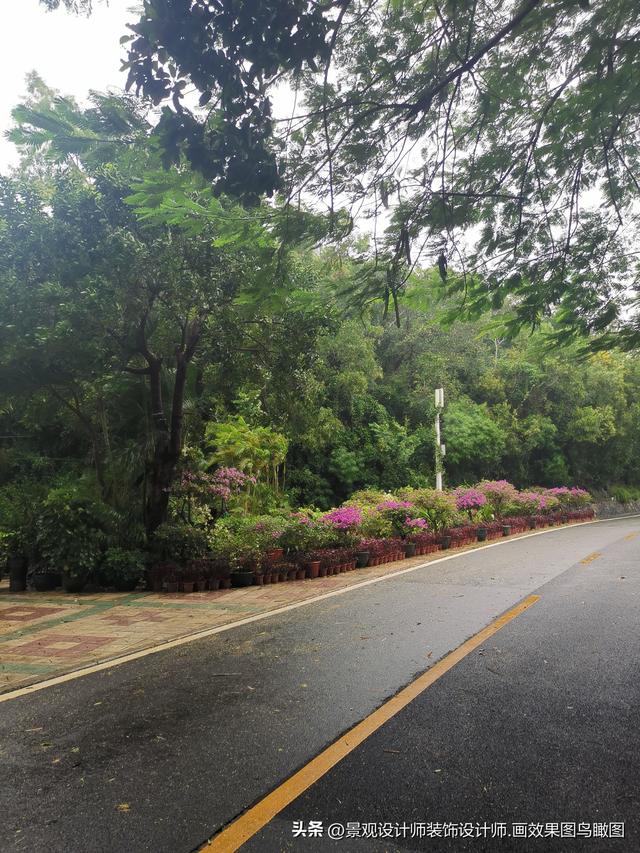 海南省三亚市鹿回头风景区