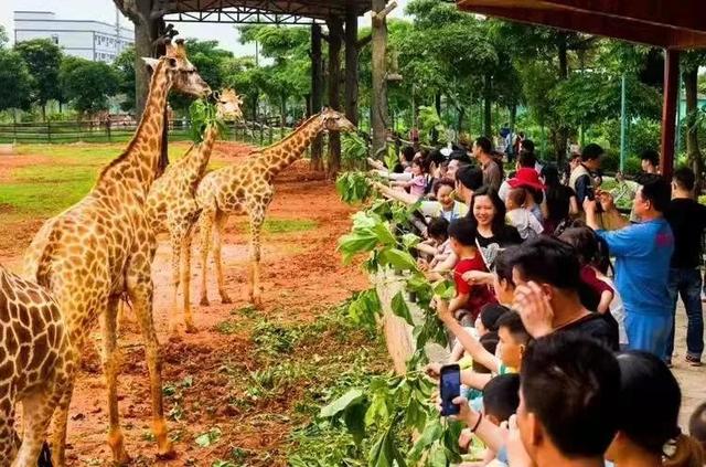 中秋遇国庆，平南游玩最全攻略来了！仙侠、古镇、萌宠、美食……一条龙玩转8天长假