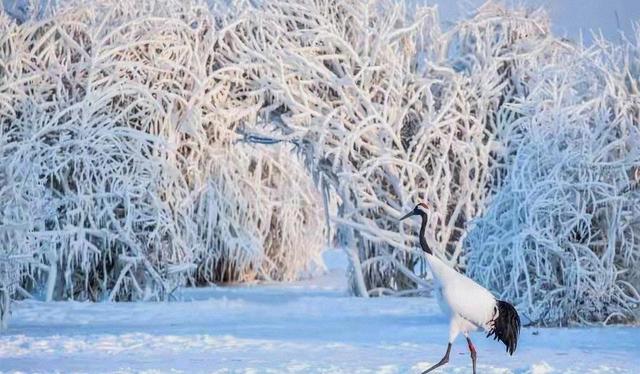“ 不怕立冬晴一天，就怕立冬一天雨”，今日立冬，雨天有何征兆？